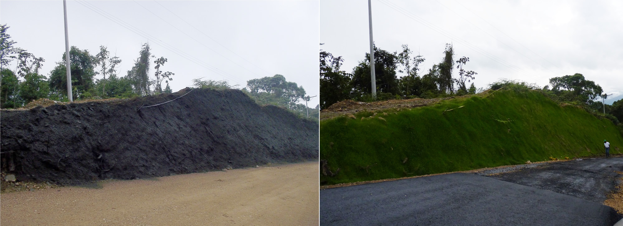 antes y despues 2.jpg